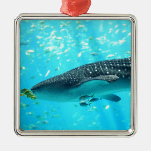 Zeewaterkwaliteit Roze blauwe walvishaai Metalen Ornament