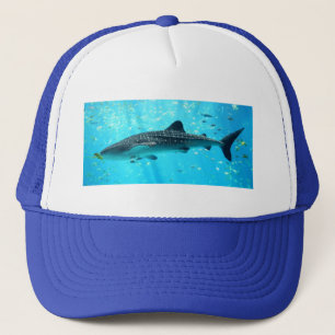 Zeewaterkwaliteit Roze blauwe walvishaai Trucker Pet