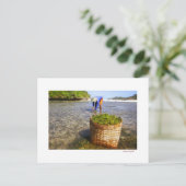 zeewier briefkaart (Staand voorkant)