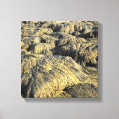 zeewier canvas afdruk (Voorkant)