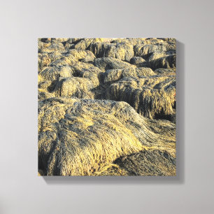 zeewier canvas afdruk