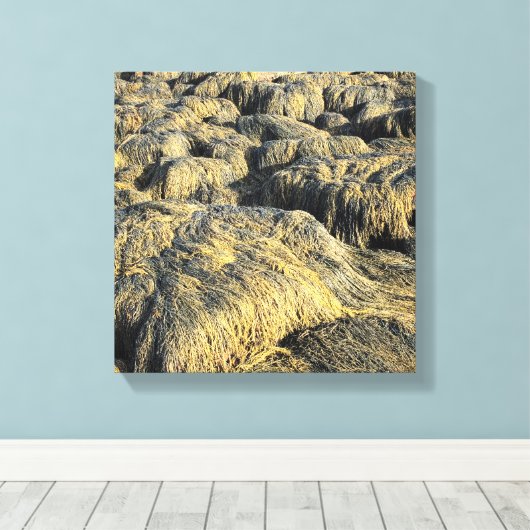 zeewier canvas afdruk (Insitu (Houten vloer))