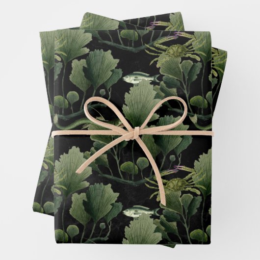 Zeewier en vis op zwart inpakpapier vel (In situ)