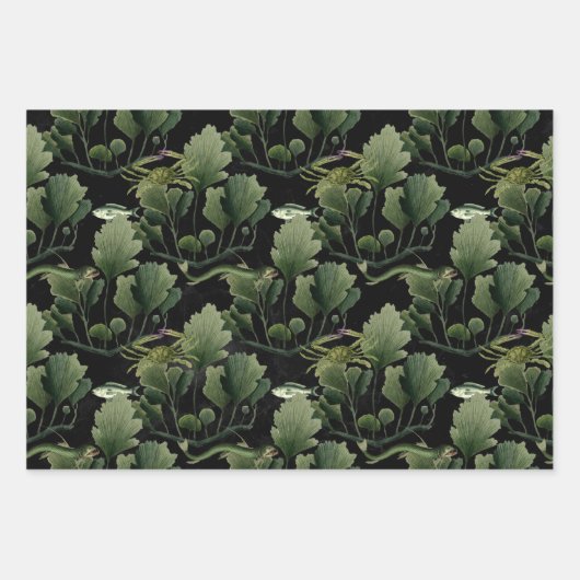 Zeewier en vis op zwart inpakpapier vel (Voorkant)