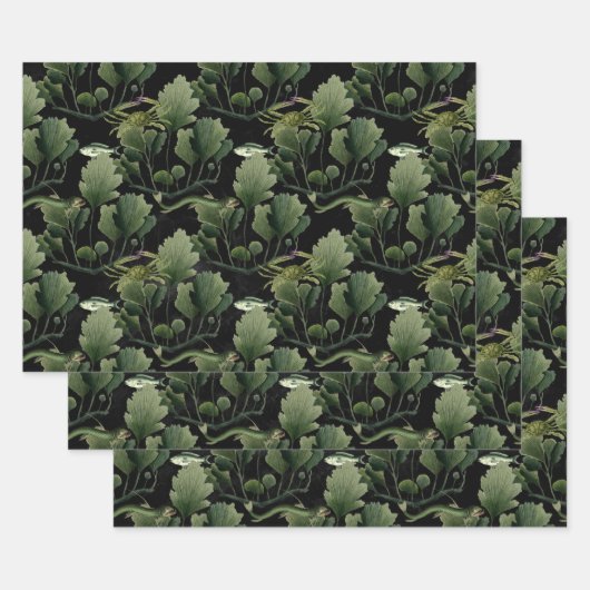 Zeewier en vis op zwart inpakpapier vel (Set)