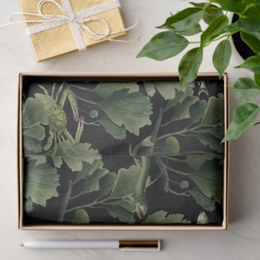 Zeewier en vis op zwarte ontkoppeling tissuepapier (Geschenk)