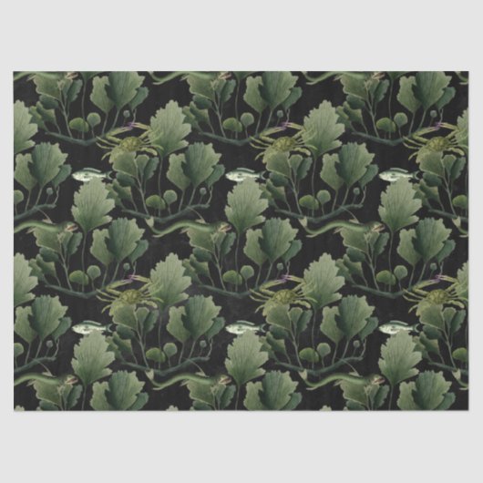 Zeewier en vis op zwarte ontkoppeling tissuepapier (Voorkant)