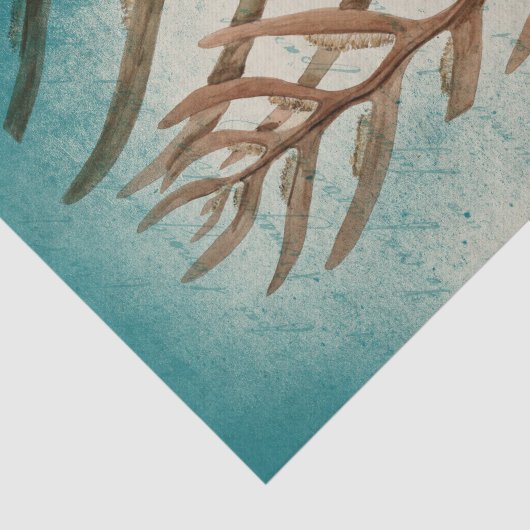 zeewier en zanddollar tissuepapier (Detail)