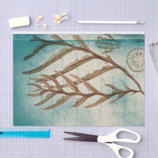 zeewier en zanddollar tissuepapier (Craft)