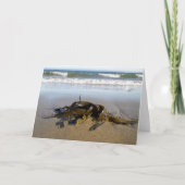 Zeewier! Kaart (Voorkant)