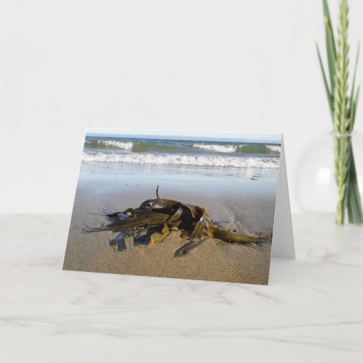 Zeewier! Kaart (Voorkant)