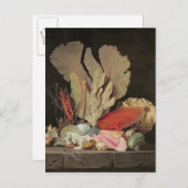 Zeewier, lithophyten en zeeshells briefkaart (Voorkant / Achterkant)