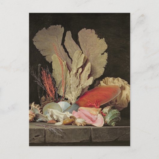 Zeewier, lithophyten en zeeshells briefkaart (Voorkant)