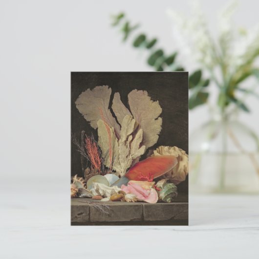 Zeewier, lithophyten en zeeshells briefkaart (Staand voorkant)