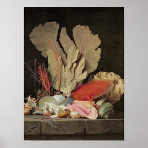 Zeewier, lithophyten en zeeshells poster