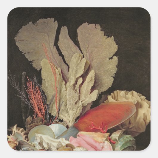 Zeewier, lithophyten en zeeshells vierkante sticker (Voorkant)