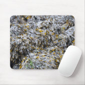 Zeewier Muismat (Met muis)