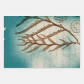 zeewier op Blauwgroen Inpakpapier Vel (Voorkant)
