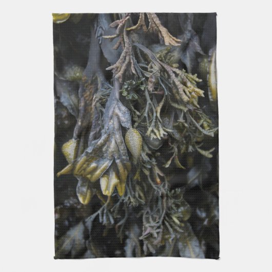 Zeewier. Theedoek (Verticaal)
