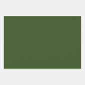 Zeewier (vaste kleur) inpakpapier vel (Voorkant 3)