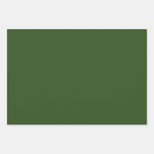 Zeewier (vaste kleur) inpakpapier vel (Voorkant 3)