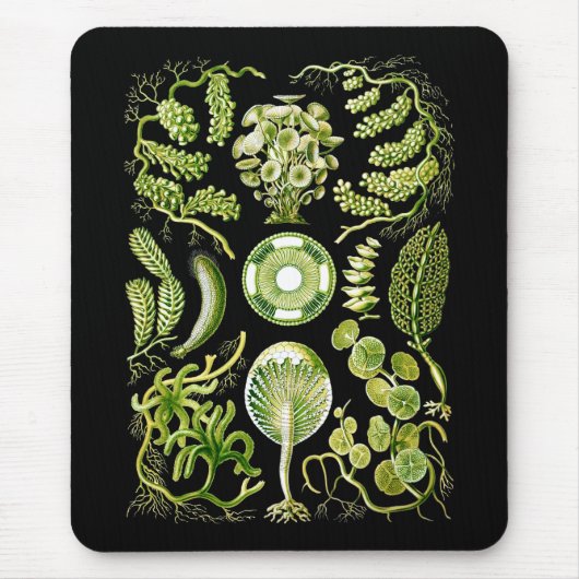 Zeewiergroen Muismat (Voorkant)