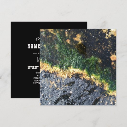 zeewiermijn kaart (Voorkant / Achterkant)