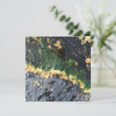 zeewiermijn kaart (Staand voorkant)