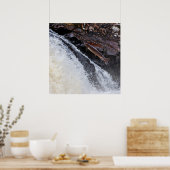 Zeezalmsalmo salar poster (Keuken)