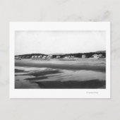 Zeezijde, strand van Oregon en katten ten ten noor Briefkaart (Voorkant)