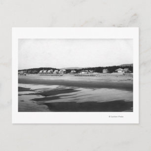 Zeezijde, strand van Oregon en katten ten ten noor Briefkaart