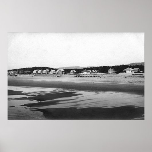 Zeezijde, strand van Oregon en katten ten ten noor Poster (Voorkant)