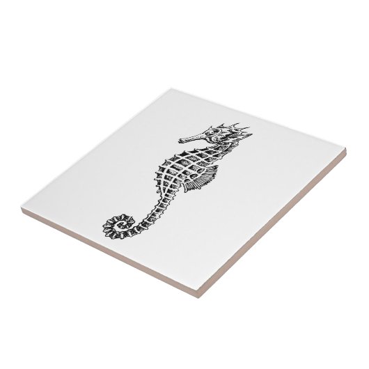  zeezoogdier Zee Tegeltje (Zijkant)