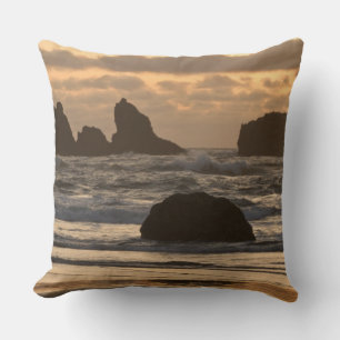 Zeezuilen op het strand bij Bandon, Oregon Kussen