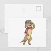 Zeezwaluw als piloot met pilotenhoed briefkaart (Voorkant / Achterkant)