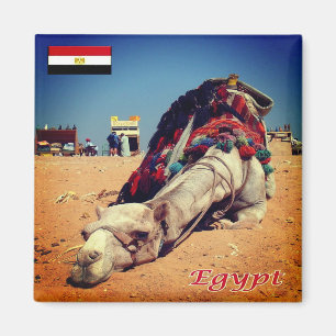 zEG021 EGYPT, Camel, Afrika, Fridge Magneet