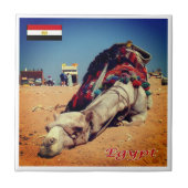zEG021 EGYPTE, Kameel, Afrika, Tegeltje (Voorkant)