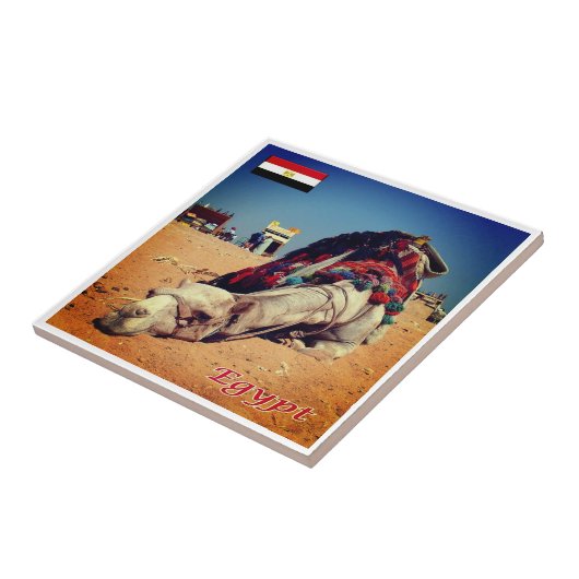 zEG021 EGYPTE, Kameel, Afrika, Tegeltje (Zijkant)