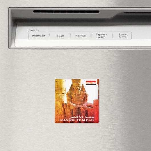 zEG029 EGYPT, Luxor Temple, Afrika, Fridge Magneet (Insitu (Vaatwasser))