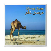 zEG047 MARSA ALAM, Rood Zee, Egypte, Tegeltje (Voorkant)