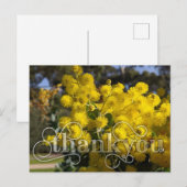 Zeg bedankt met de Gele Wattle Flowers Feestdagenkaart (Voorkant / Achterkant)