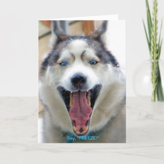 Zeg, "BEVRIES" wenskaart Kaart