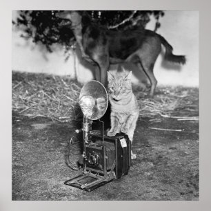 Zeg Catnip: 1936 Poster