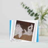 Zeg Cheeeseee m'n grappige gezicht. Briefkaart (Staand voorkant)