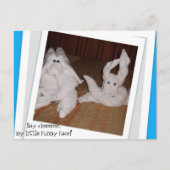 Zeg Cheeeseee m'n grappige gezicht. Briefkaart (Voorkant)