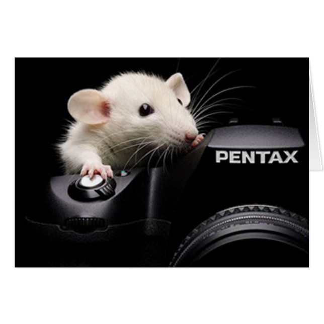 Zeg Cheese! (Voorkant Horizontaal)