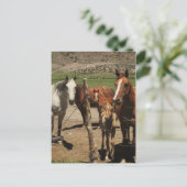 Zeg Cheese!  :) Briefkaart (Staand voorkant)