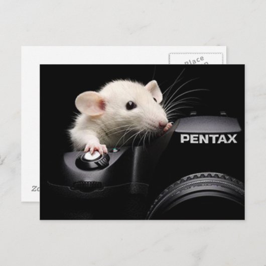 Zeg Cheese! Briefkaart (Voorkant / Achterkant)