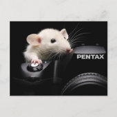 Zeg Cheese! Briefkaart (Voorkant)