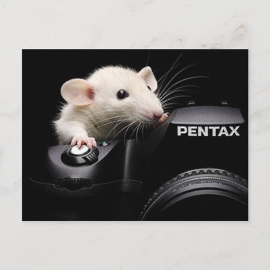 Zeg Cheese! Briefkaart (Voorkant)